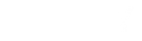 Novy