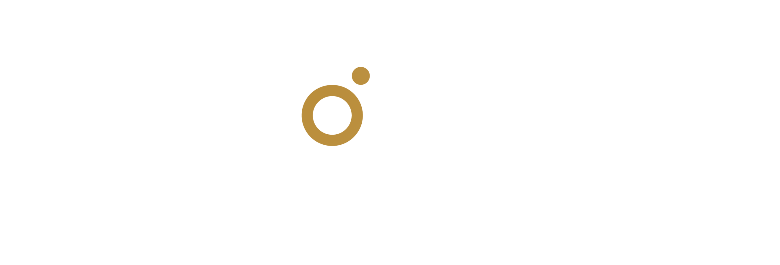 Storme_cuisine_Blanc_Gold Storme_cuisine_Blanc_Gold