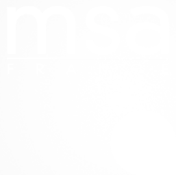 MSA France